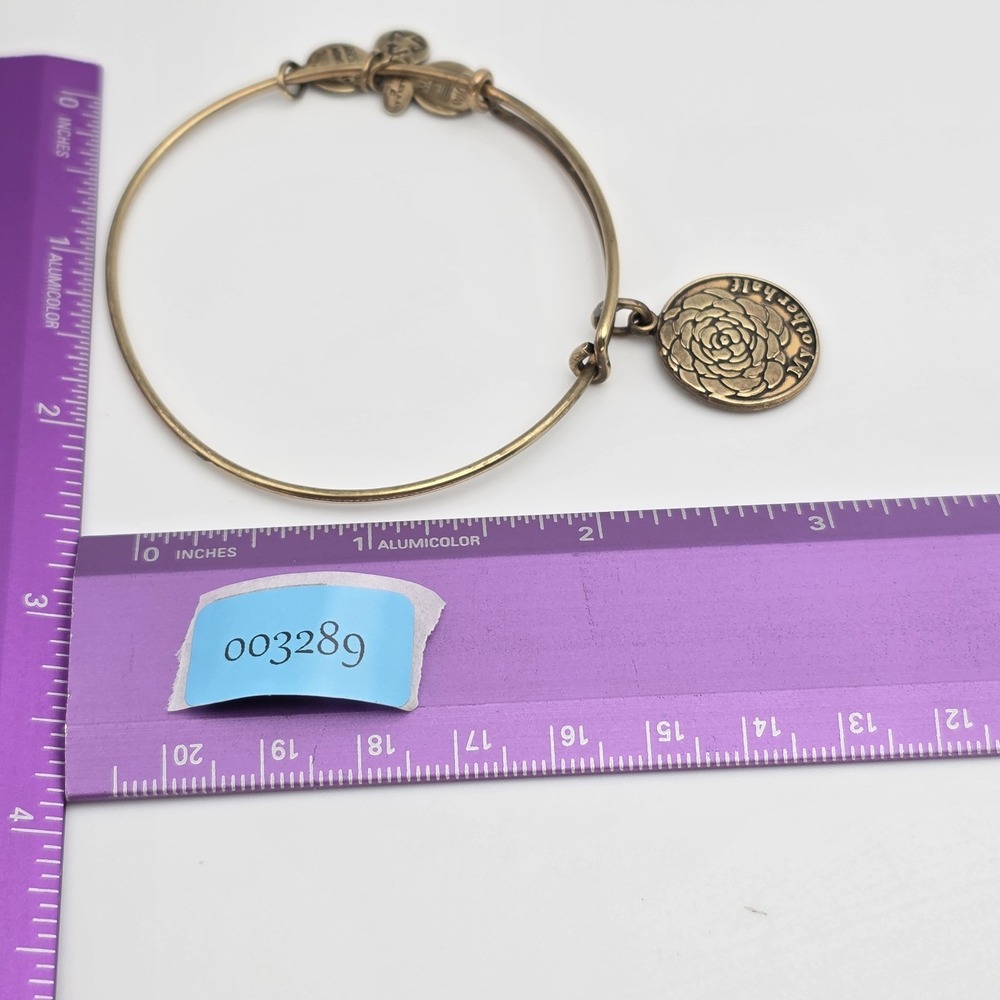 ALEX & ANI 'My Other Half' Charm Bracelet Rafaelian Gold Bangle Made In USA - Picture 9 of 9